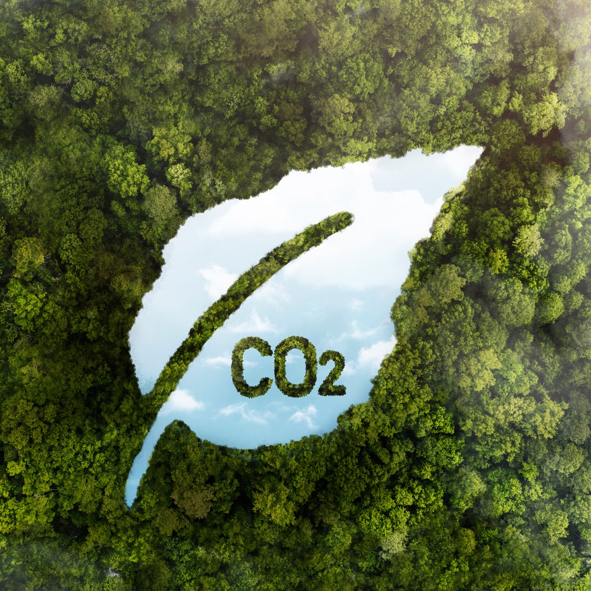 CO2-Kompensation